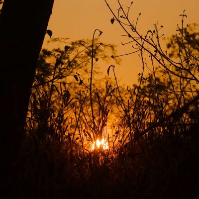 Sunrise at ARAI
