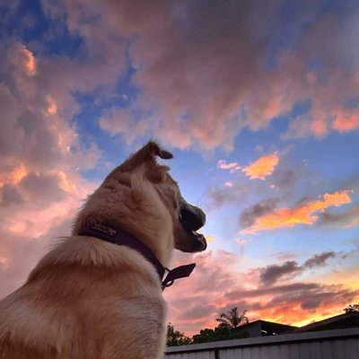sunset lover