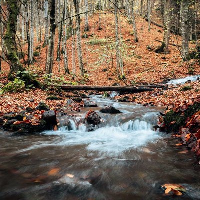 Yedigöller National Park, Bolu