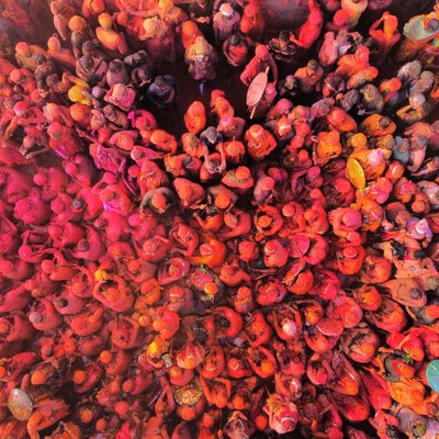 Holi. The festival of colours ❤️