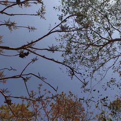 Nature Photography | 06