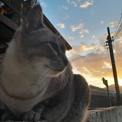 por do sol 