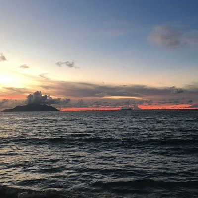 Time for beach therapy!