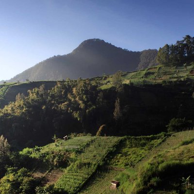Wisata Wonomulyo