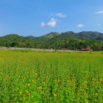 Green hills