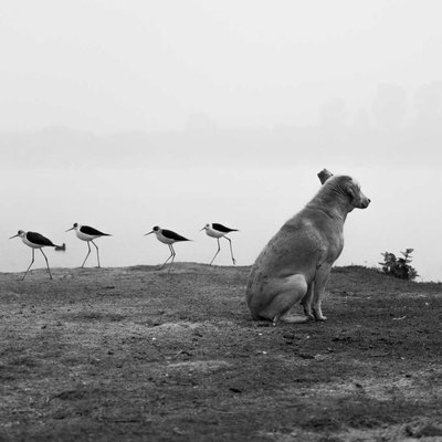 street photography 