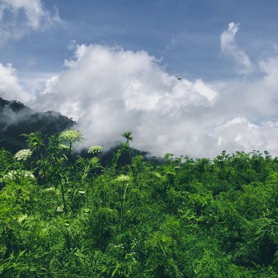 Brakseng Cloud