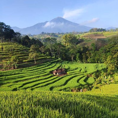 alam desaku