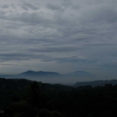 hutan, bukit, laut