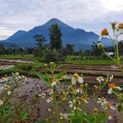 Gunung Penanggungan 