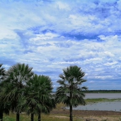 My country - Paraguay