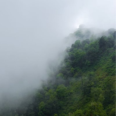 Kabut Lembut