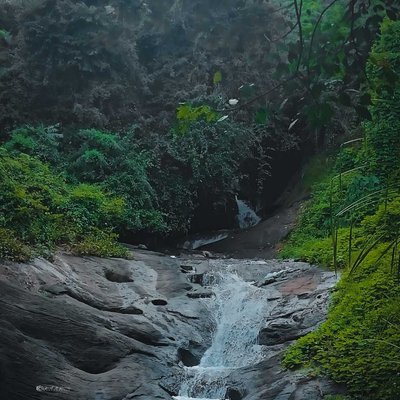Enjoying the beauty of the Nature