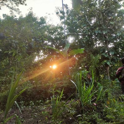 Sun Rise