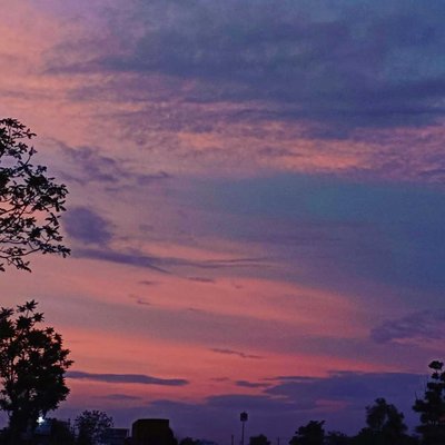 sunset love 