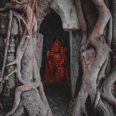 Bajrangbali Mandir inside a tree
