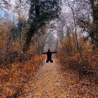 🍁🍂