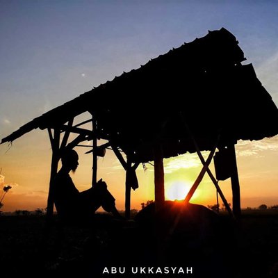 Gubuk sawah