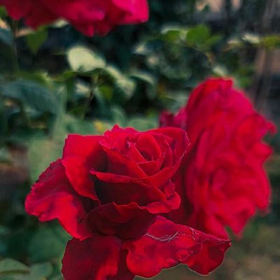 🥀💓love