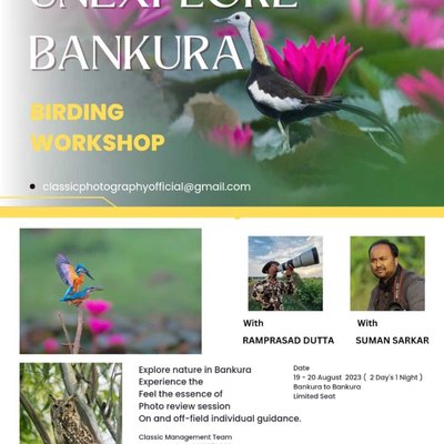 Wildlife Workshop 