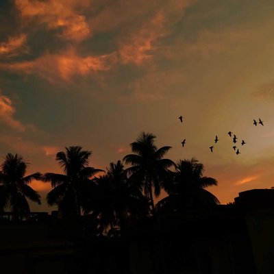Dusk 