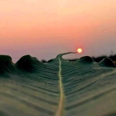 sunset visit