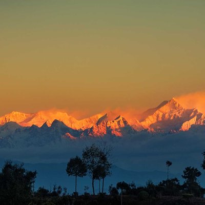 Golden Kanchanjangha