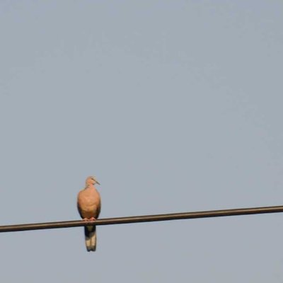 alone