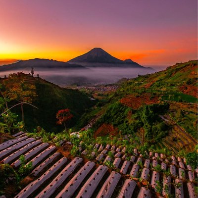 SUNRISE WADASPUTIH