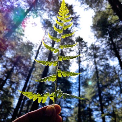 Nature Bliss ❤️