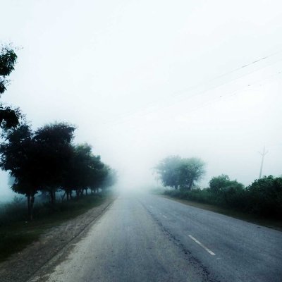 Foggy Morning 
