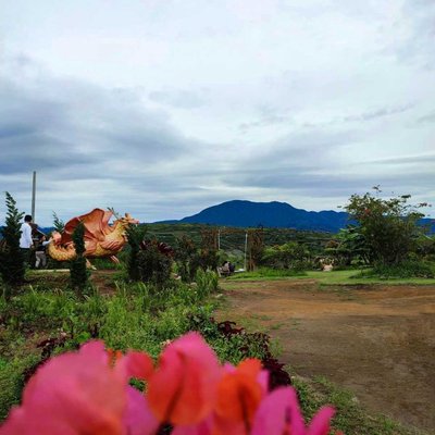 Foreground Photography... View Gunung Sinabung