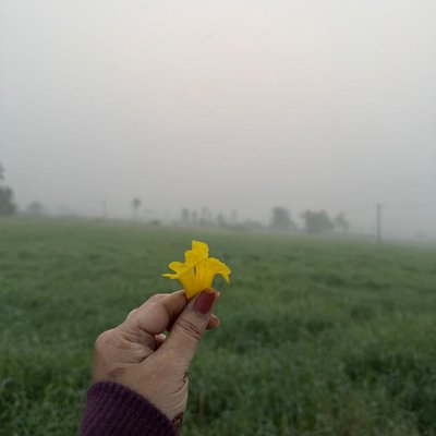 winter morning 💛
