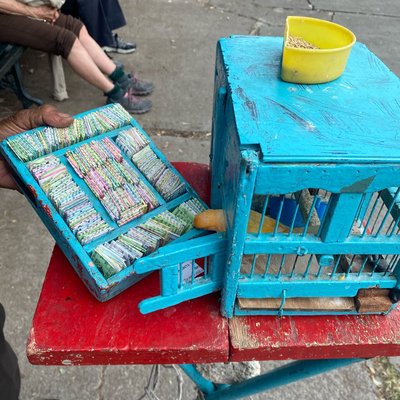suerte en una caja 
