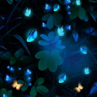 Butterflies 