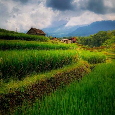 Terasiring Desa Selotapak 