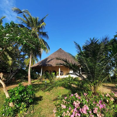 Indian Ocean 