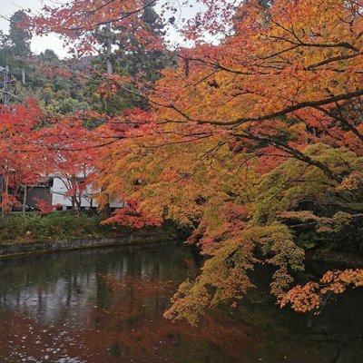 Kyoto