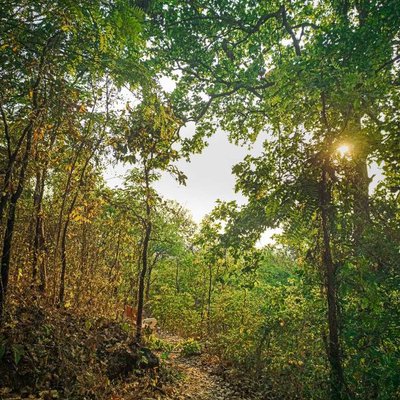 Jeypore Hill