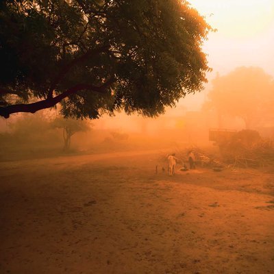 the foggy days 🌝