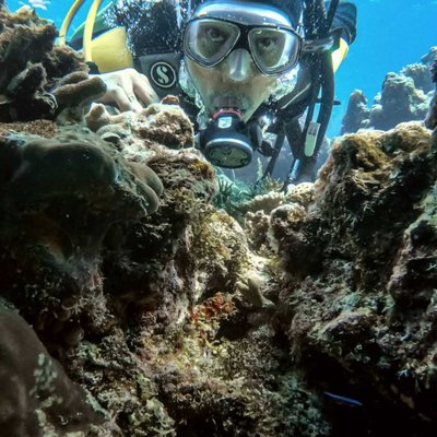 diving