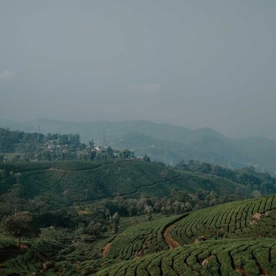 munnar hill station