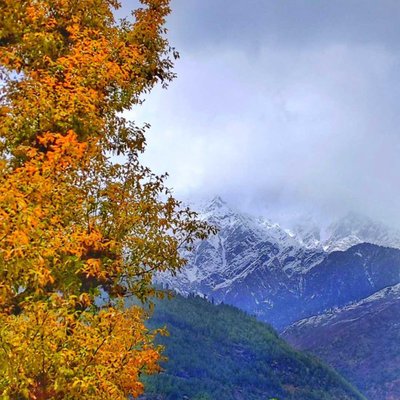 manali ❤️
