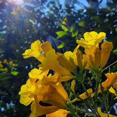 Natural photography 