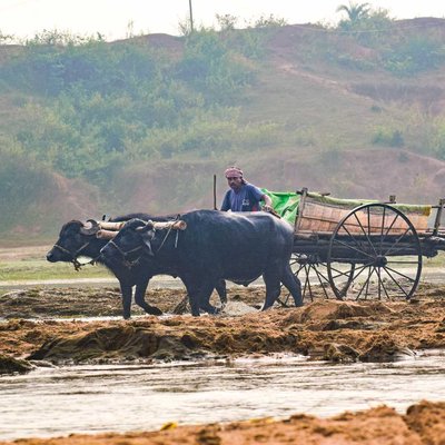 village life 