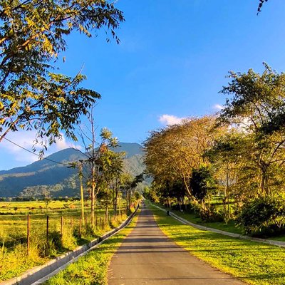 Savana New Zealand - Indonesia.
