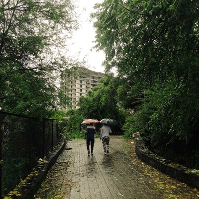 Morning walking in rain hits different...