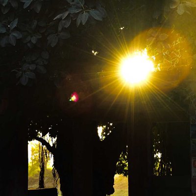 let there be light