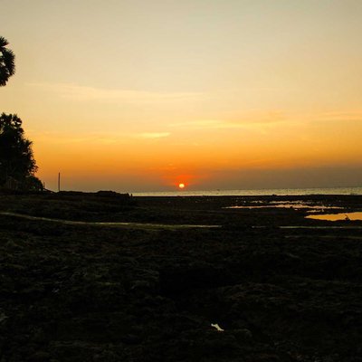 Senja