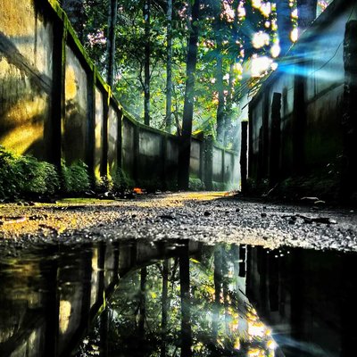 Reflection | Rural Village 📸